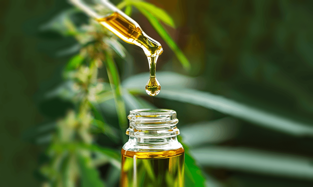 Unlock Your Best Life: Discover the ECS