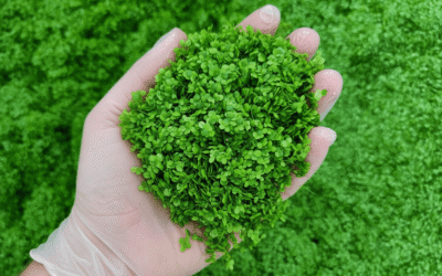 Plant-Powered Protein: Beyond Pea and Soy